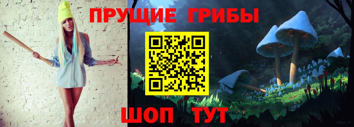 Екатеринбург  Галлюциногенные грибы прущие грибы  Вход с VPN 